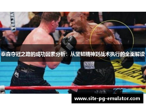 泰森夺冠之路的成功因素分析:从坚韧精神到战术执行的全面解读 泰森夺冠之路的成功因素分析:从坚韧精神到战术执行的全面解读