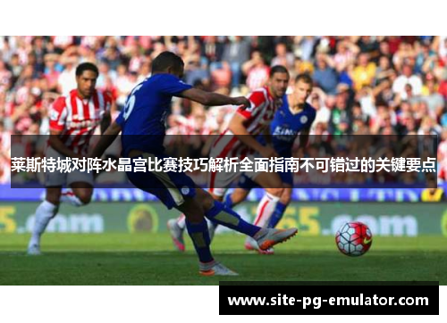 莱斯特城对阵水晶宫比赛技巧解析全面指南不可错过的关键要点
