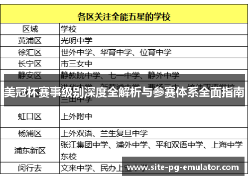 美冠杯赛事级别深度全解析与参赛体系全面指南